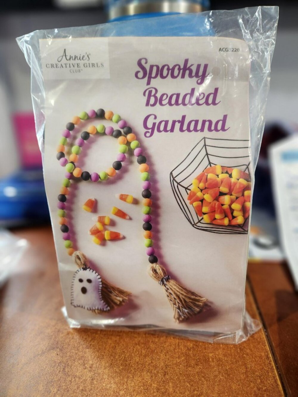 New Sealed Annie's Creative Girls Club Spooky Beaded Garland Craft Kit